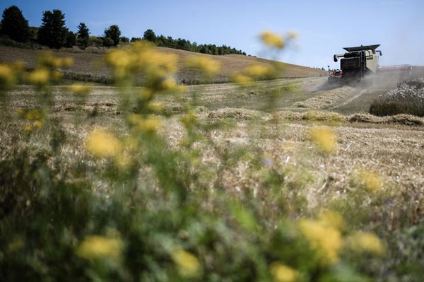 Assegnazioni Fondo Europeo Agricolo Sviluppo Rurale Oltre Milione