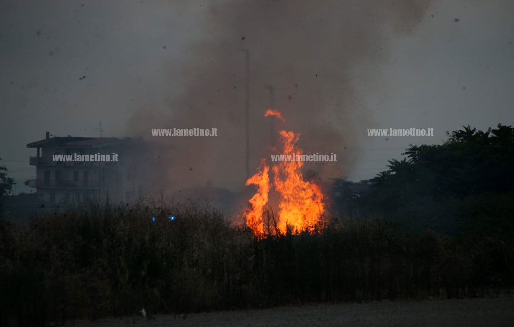 Lamezia In Fiamme Vegetazione E Sterpaglie In Via Perugini Disagi