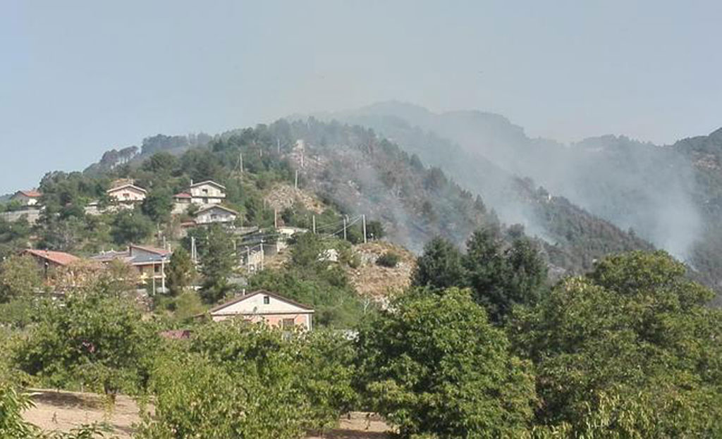 Tragedia incendi, in Calabria due vittime in due giorni Tragedia incendi, in Calabria due vittime in due giorni