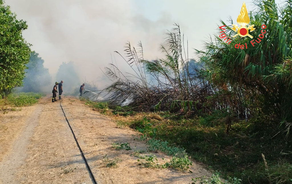 Ancora Incendi In Calabria In Fiamme Macchia Mediterranea E Canneti