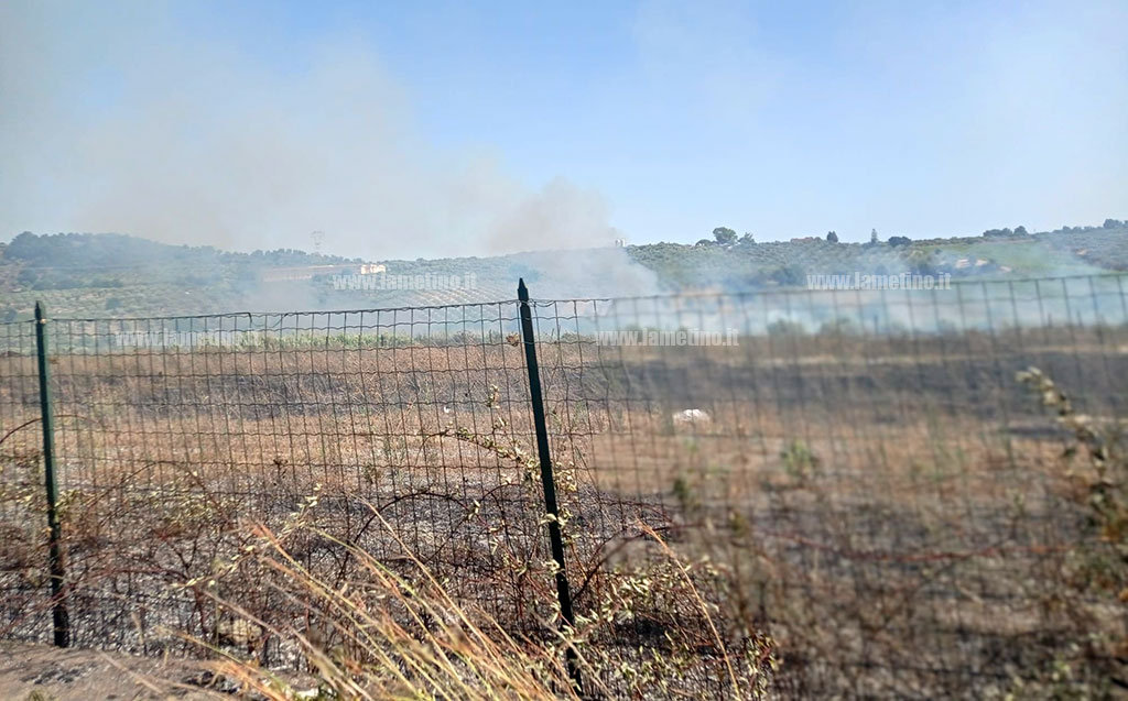 In Fiamme Sterpaglie E Canneti Diversi Roghi Tra Lamezia E Catanzaro