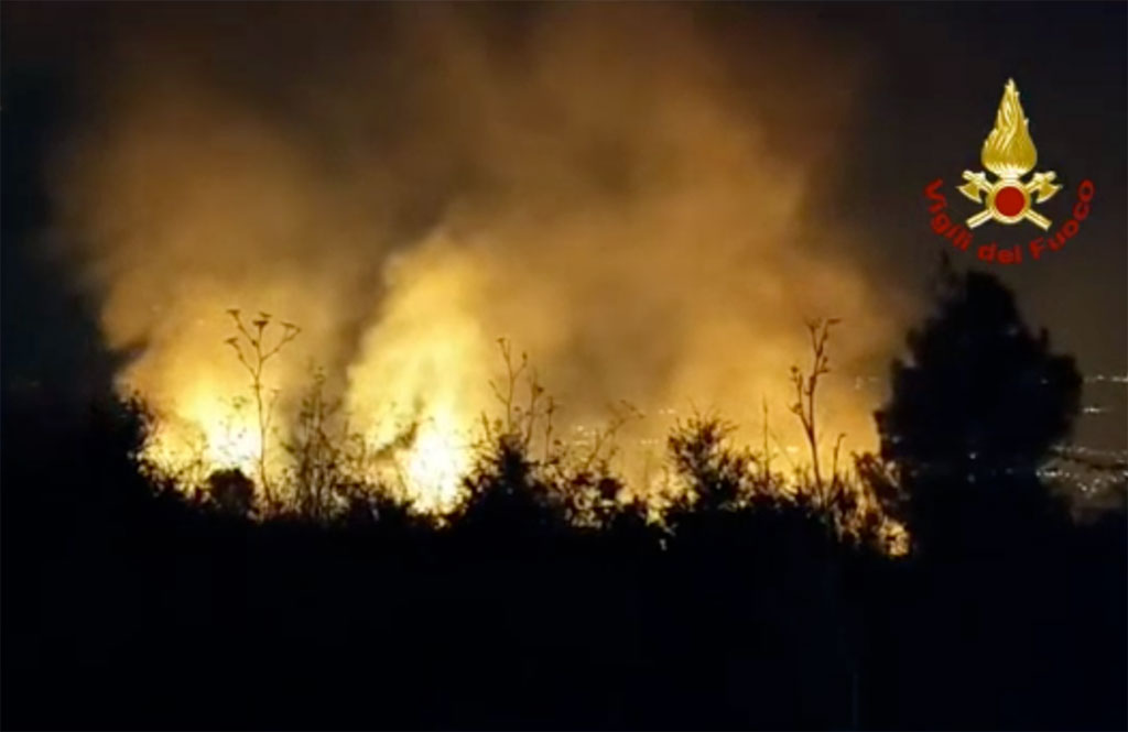 Incendi Boschivi, In Calabria Dal Primo Luglio 6725 Interventi: 1580 ...