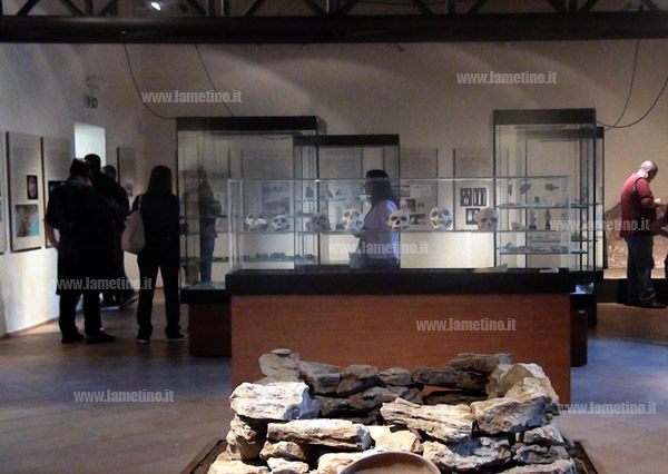 museo_archeologico_lametino_interno.jpg