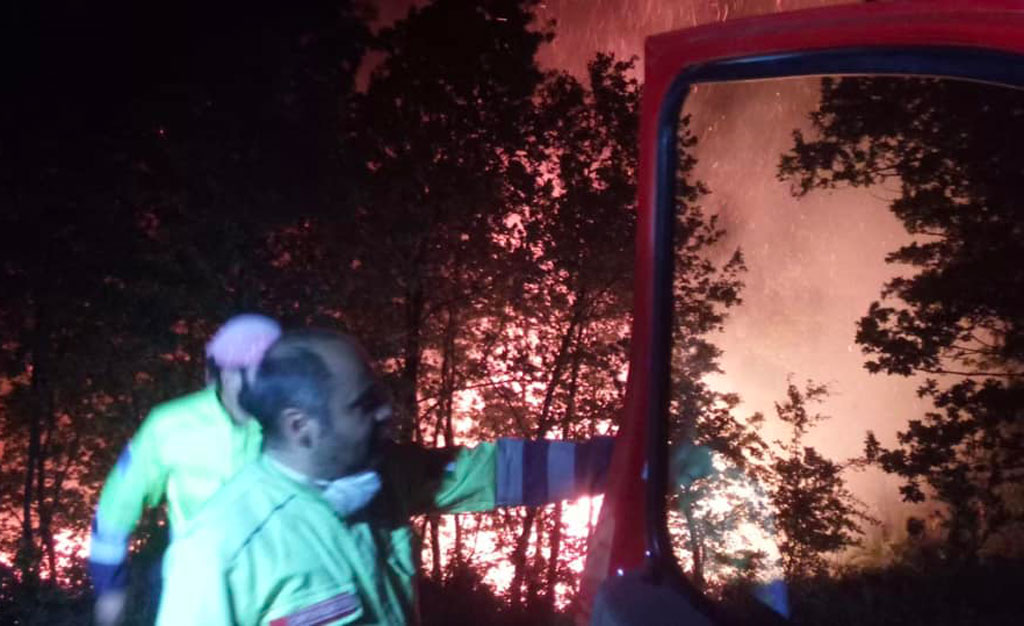 Vasto Incendio Distrugge Quasi Ettari Di Bosco E Culture A Motta