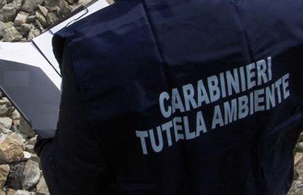 De Giorgi: non mi dimetto per dei 'corvi'