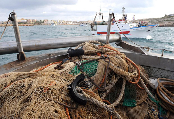 Pesca da Regione due milioni per protezione biodiversità ed ecosistemi