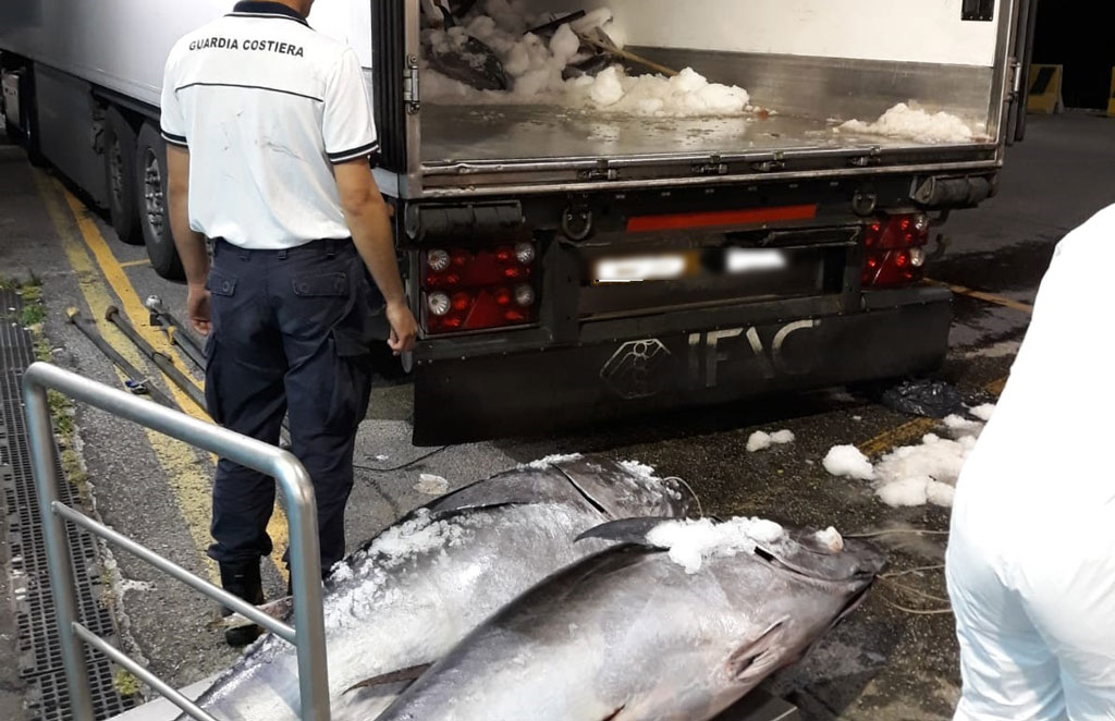 Operazione Damocle Sequestrate Oltre Tonnellate Di Tonno Rosso