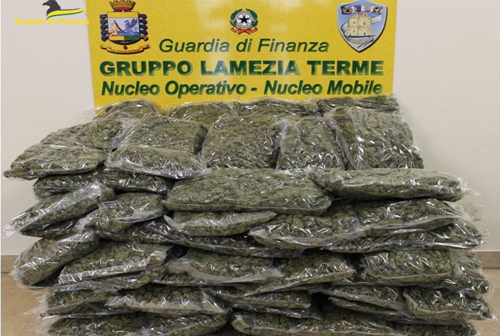 Pacco Con 50 Chili Di Marijuana Sequestrato Nella Locride, Guardia Di ...