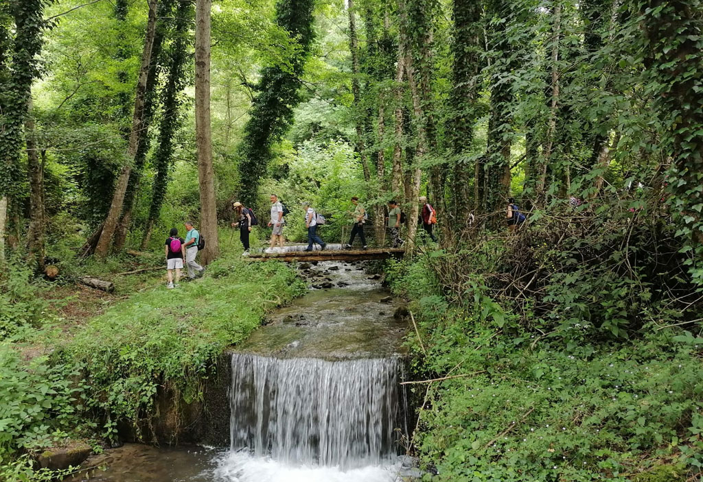 Seconda Tappa De “In Cammino Verso La Madonna Della Quercia” Con La ...