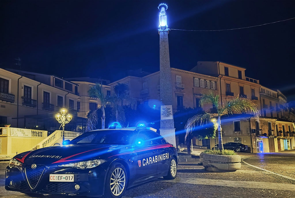 Lamezia, controlli straordinari del territorio: denunce, sanzioni e un ...