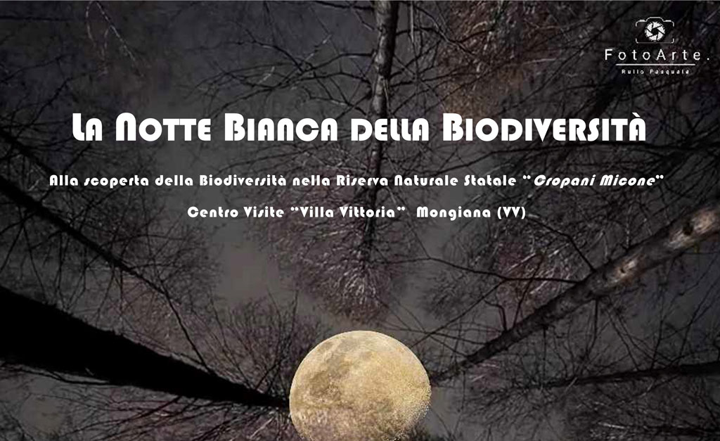 Notte-Bianca-della-Biodiversit-2024-_f2f46.jpg