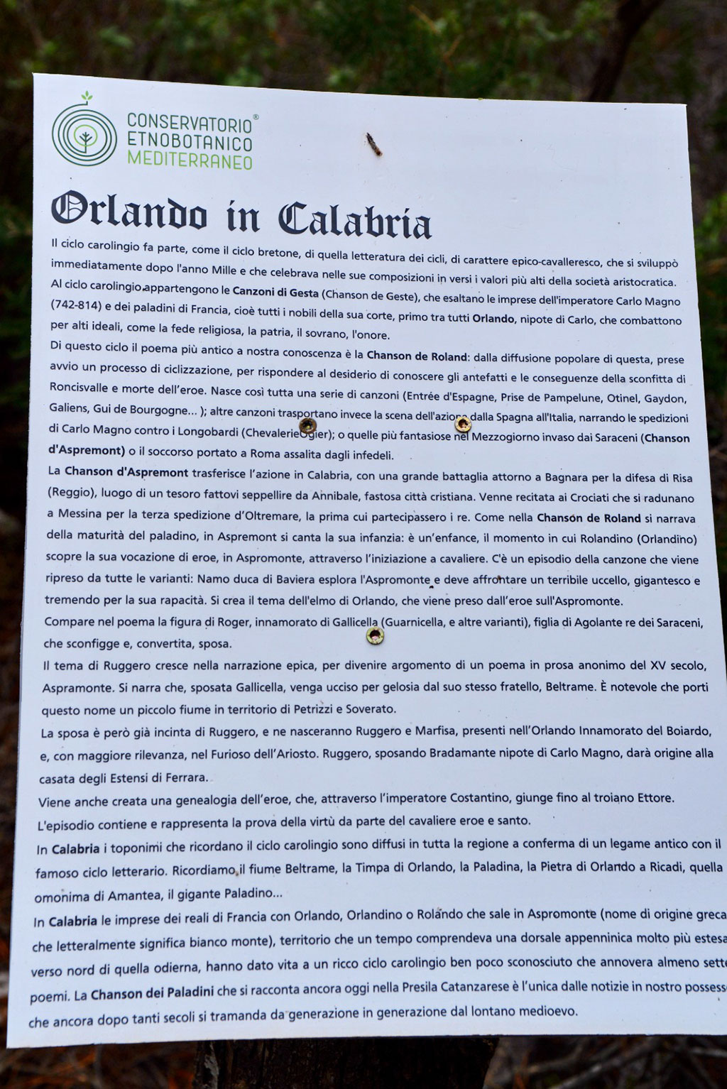 Orlando-in-Calabria-18.11.2022_37e98.jpg