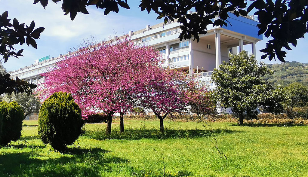 Ospedale-Lamezia-fioritura_16-05-2024_e895c.jpg