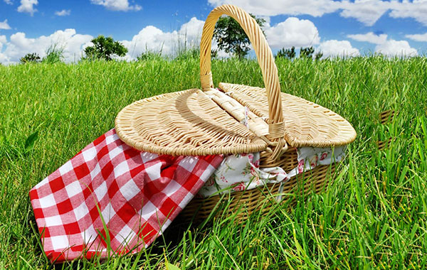 Picnic-ferragosto1_556de.jpg