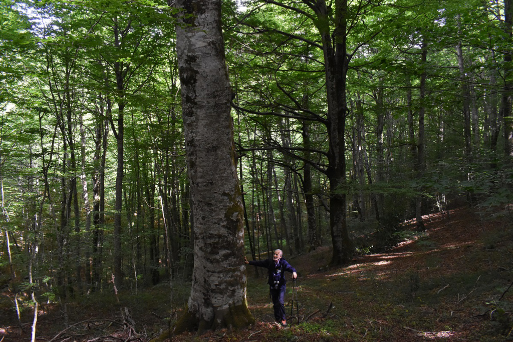 Reventino-Mancuso-M.-Mancuso.-Ph-F.-Bevilacqua_b84b3.jpg