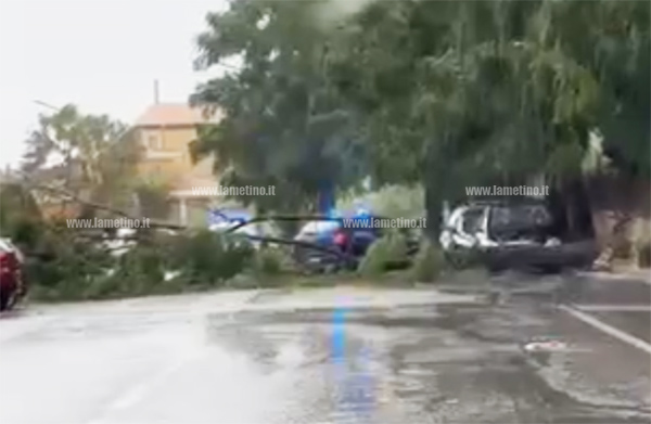 Maltempo, Forte Temporale Su Lamezia: Alberi Divelti E Traffico In Tilt ...