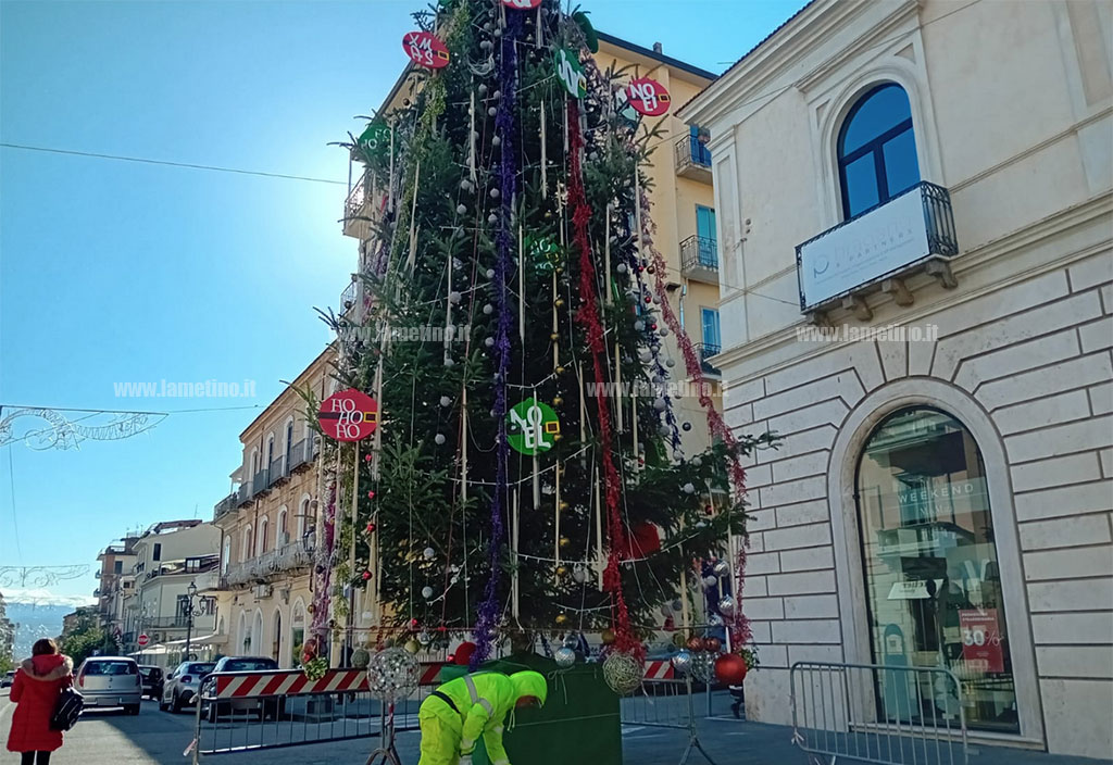 albero-eco-2024-12-12-alle-12.19.10_b06a9.jpg