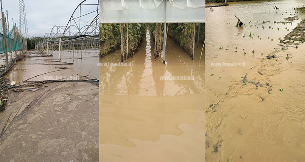 alluvione-azienda-agricola-1024_ec8fb.jpg