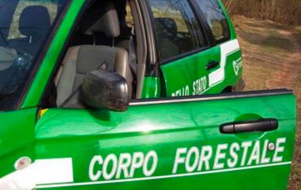 corpo-forestale-07082018-110757_701fd.jpg