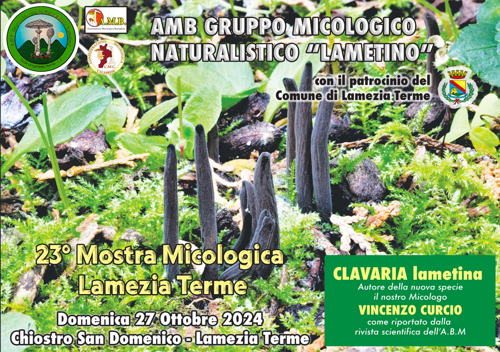 mostra-micologica2024-10-25-ore-22.40.15_829cf9b4_f9cfc.jpg