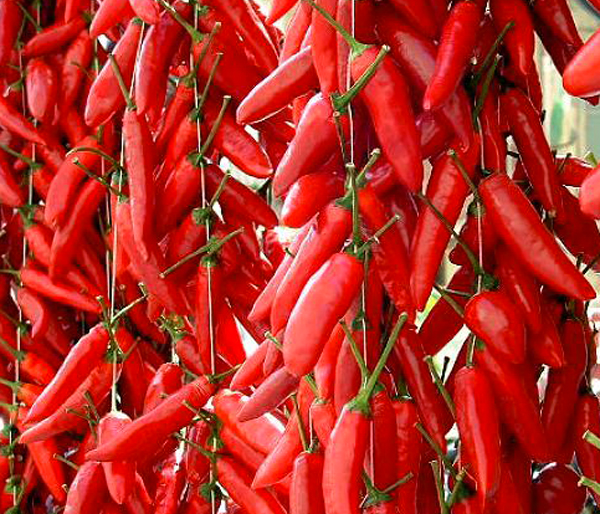 ok-peperoncino-calabrese.jpg