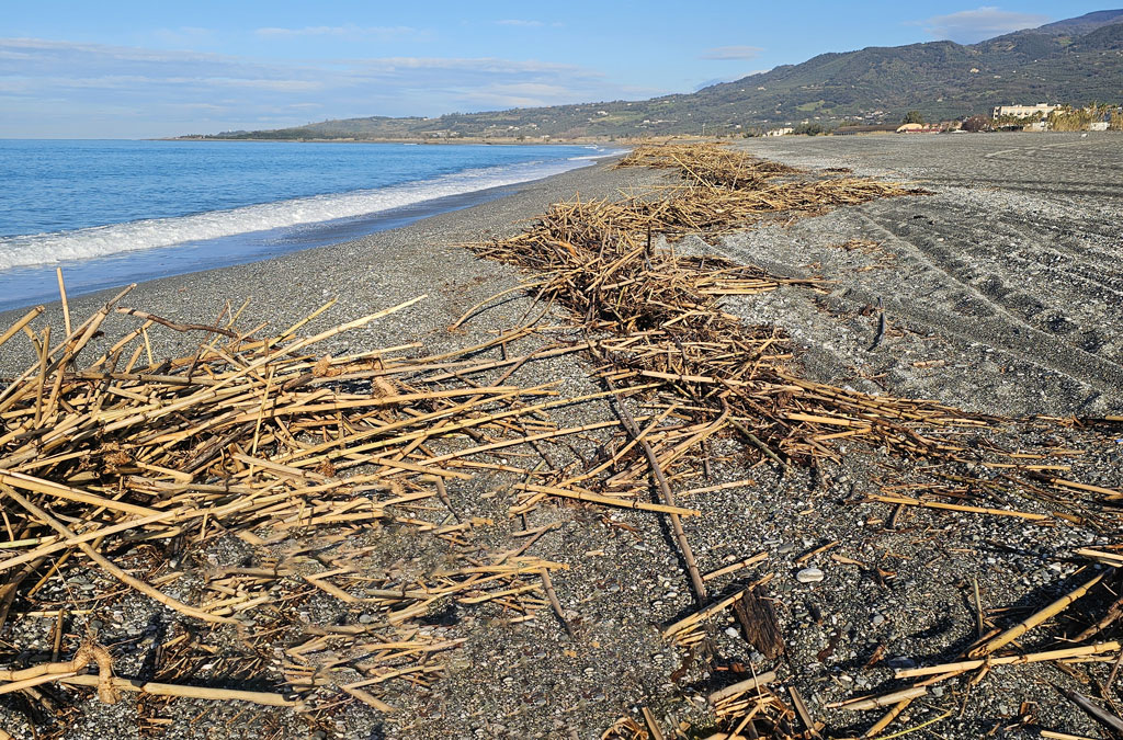 spiaggia-mare821_de597.jpg