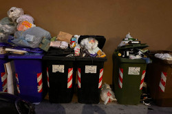 Lamezia, rifiuti e degrado urbano: dai primi giorni di gennaio al via controlli rigidi e ordinanze stringenti 1f30282f-0812-4d1b-8504-94be7a3e43fd_33d93.jpg