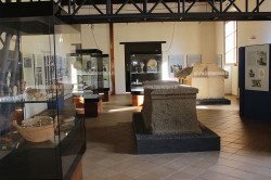 Lamezia, il 7 dicembre accesso gratuito al Museo Archeologico Aversa-museo-arvheologico-lametino-intervista-2_9f188_5fad1_2b5c9_89b03_8b4cb_4cc16_a44b1_1e91a.jpg
