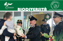 Lamezia, il 6 gennaio la "Befana della biodiversità" dei carabinieri fa visita ai piccoli pazienti del reparto di pediatria BefanaBio-1_849c9.jpg