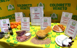 Stop al falso Made in Italy: dalla Calabria parte la battaglia per revisione Codice Doganale Coldiretti-imbroglio-del-codice-doganale_947a7.jpg