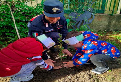 Lamezia, I.C. Perri-Pitagora-Don Milani celebra la festa degli alberi con il corpo dei Carabinieri per la tutela ambientale I-bambini-piantumano-gli-alberelli_f65fd.jpg
