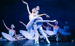 Ama Calabria, il 16 gennaio a Lamezia al Teatro Grandinetti il Lago dei Cigni Lago-Dei-Cigni_0c987.jpg