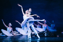 Riparte la stagione teatrale di AMA Calabria con quattro spettacoli tra fascino e mistero Lago-Dei-Cigni_73194.jpg