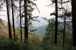 A Lamezia il Congresso regionale della Calabria dell'Unione nazionale comuni, comunità ed enti montani NP2_b0939_d3eb2.jpg