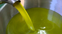 Dalla Calabria nuove eccellenze per l’olio extravergine OLIO_A_439ce_c0ab6_aa41a_c4a0f.jpg