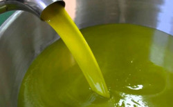 Olio, Coldiretti Calabria: “Più trasparenza contro truffe e concorrenza sleale” OLIO_A_439ce_c0ab6_ac007_58572.jpg