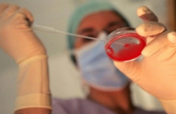 Denatalità, Regione rafforza rete pubblica PMA: "In programma due nuovi centri di eccellenza a Nord e Sud della Calabria” Procreazione-assistita_1277817945_03686_6e9fc.jpg