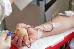 Giornata di Raccolta dell’AVIS comunale a San Pietro a Maida: record di donazioni e nuovi volontari TRASFUSIONE17092018_ab64e_2dfd0_2872d_d4f93.jpg