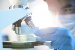 Dal Mur 2,7 milioni euro alla Calabria per 2 progetti di ricerca Tumori__9b1b0.jpg