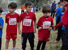 Violettaclub, ultima prova Campionato Regionale FIDAL di società di cross: buoni risultati per i piccoli atleti lametini WhatsApp-Image-2026-03-04-at-14.40.20_75678.jpg