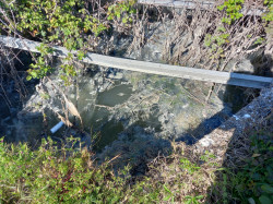 Lamezia, la denuncia del geologo Riga: “Scarico di acque reflue nel Cantagalli, a rischio la qualità del mare” WhatsApp_Image_2026-03-31_at_15.39.041_dcc9b.jpeg