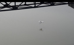 Legambiente, Atlante dell’Acqua 2026: l’emergenza nascosta che unisce clima, digitale e territori acqua-2026-03-22-alle-13.14.13_6bb32.jpg