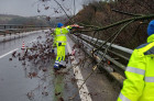 Alberi caduti su autostrada A2 tra Rogliano e Cosenza, disagi anche sulla ferrovia - VIDEO anasa2_fc56b.jpg