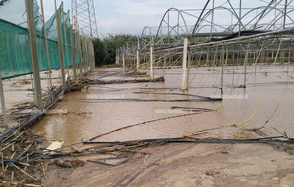 Alluvione nel Lametino a ottobre 2024, prorogata sospensione delle rate dei mutui azienda-agricola_02598_0c158_786ff.jpg