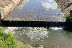 Lamezia, associazione "Una Città dove vivere bene" lancia l'allarme: "Il Cantagalli è una fogna a cielo aperto" cantagalliwn_217bc.jpg