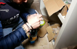 Scavi clandestini e traffico di reperti archeologici, maxi operazione dei Carabinieri anche in Calabria: 56 misure cautelari cc-scavi35_0e9a7.jpg