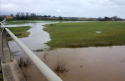 Chiesta calamità in agricoltura per ultimo maltempo, Coldiretti: "Oltre 3.000 ettari colpiti in Calabria" coldiretti-2026-02-19-alle-13.38.16_0c156.jpg
