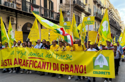 Coldiretti Calabria: nasce la Commissione Unica Nazionale del grano duro, nuova forza al settore regionale coldiretti-2026-03-31-alle-12.53.51_aa3bd.jpg