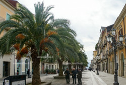 Lamezia, il 22 marzo tornano le Uova di Pasqua AIL anche su corso Nicotera corso-nicotera-3-isola-pedonale-Lamezia-2016_dc91e.jpg