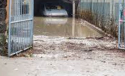 Lamezia, attivata raccolta segnalazioni di danni per eventi meteo di gennaio e febbraio 2026 danni-2026-02-21-alle-13.21.04_a9622.jpg